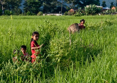 Nepalese kids
